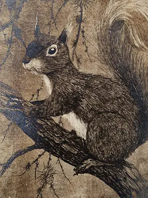 Henri Verstijnen - omstreeks 1930 - fraai gedetailleerde ETS "eekhoorn" potloodgesigneerd kopen? Bied vanaf 35!