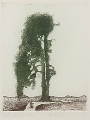 Rob Heijman - Kleurenets, De Boom - Ingelijst kopen? Bied vanaf 10!