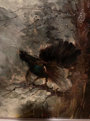 Jan Bevort - Auerhahn in bosgebied kopen? Bied vanaf 500!