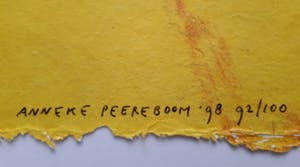 Anneke Peereboom - Luce del giorno II kopen? Bied vanaf 20!