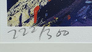 Jan Cremer - Grote ingelijste litho: 'Ara' - 1990 kopen? Bied vanaf 275!