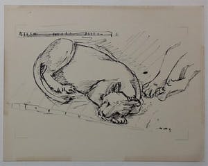 Wim Motz - 4 tekeningen van leeuwen/leeuwinnen kopen? Bied vanaf 45!