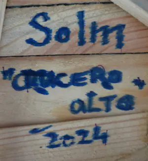 Eric van Solm - 'Crucero alto' kopen? Bied vanaf 535!