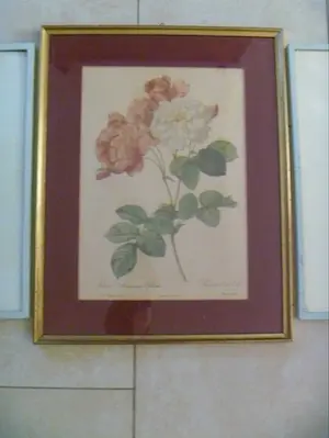 Pierre-Joseph Redoute - Drie ingelijste litho's Rozen kopen? Bied vanaf 26!