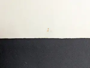 Christian Silvain - la métamorphose E.A. kopen? Bied vanaf 95!