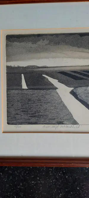 Jelus Matser - Assendelft Ochtendlicht kopen? Bied vanaf 60!