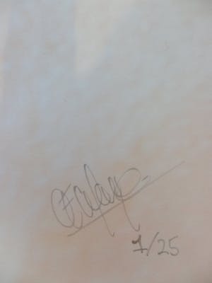 Niet of onleesbaar gesigneerd - Kleurenfoto EYE WITNESS Handgesigneerd. kopen? Bied vanaf 1!