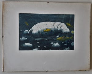 Niet of onleesbaar gesigneerd - Nijlpaard kopen? Bied vanaf 1!