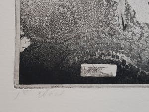 Jan Prins - Prachtige Ets - Gesigneerd in potlood kopen? Bied vanaf 1!