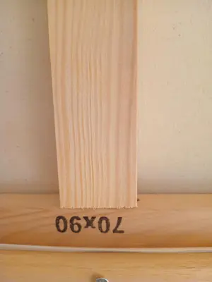 Tanja Koelemij - uit de serie Bloemetjes en Afkomst kopen? Bied vanaf 185!