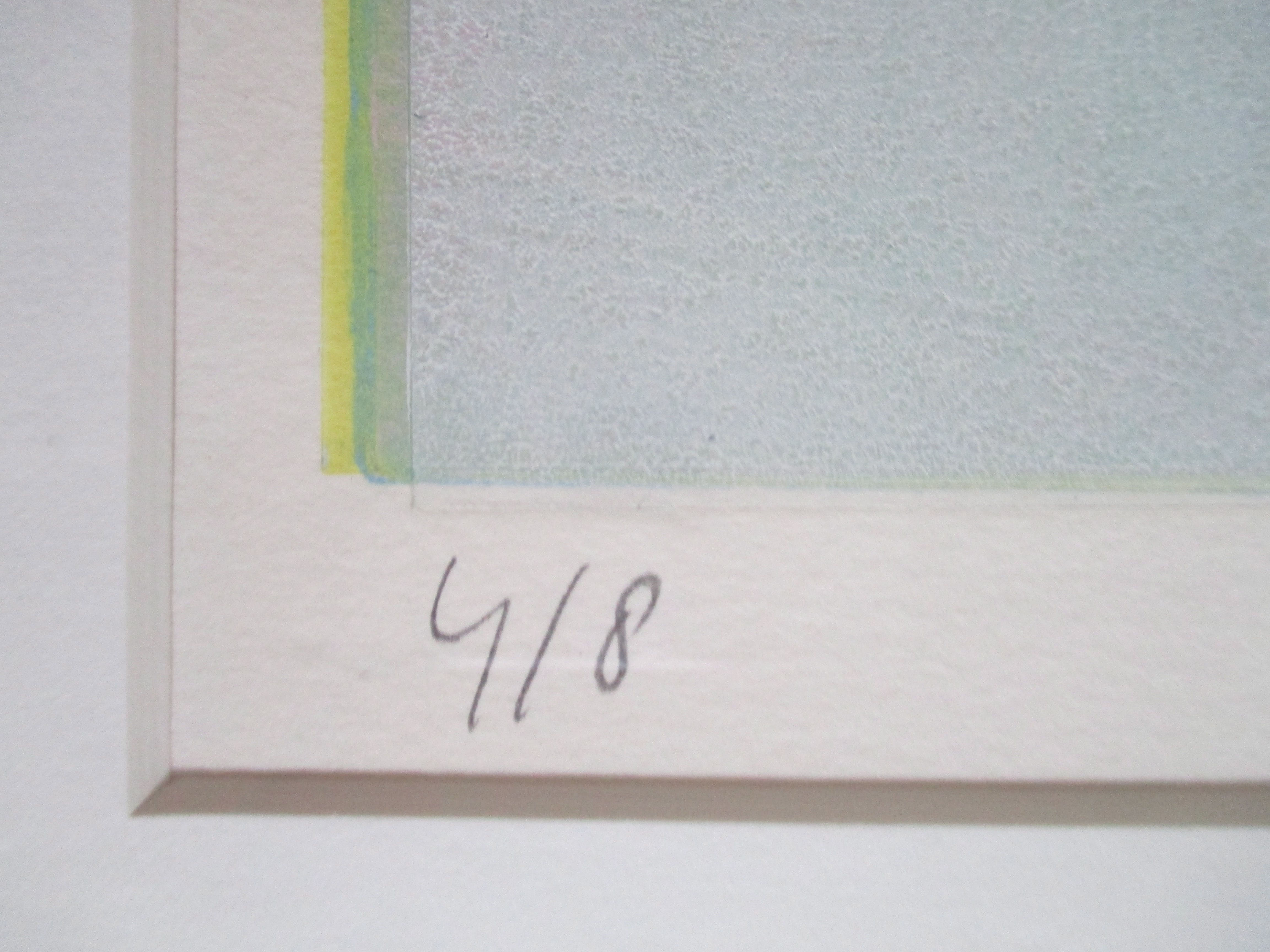 Margot de Jager - Grote gelijst aluminiumprint- kleine oplage- Barth Lijst kopen? Bied vanaf 60!