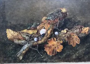 Hans van Wijk - Stilleven op boomstronk. kopen? Bied vanaf 450!