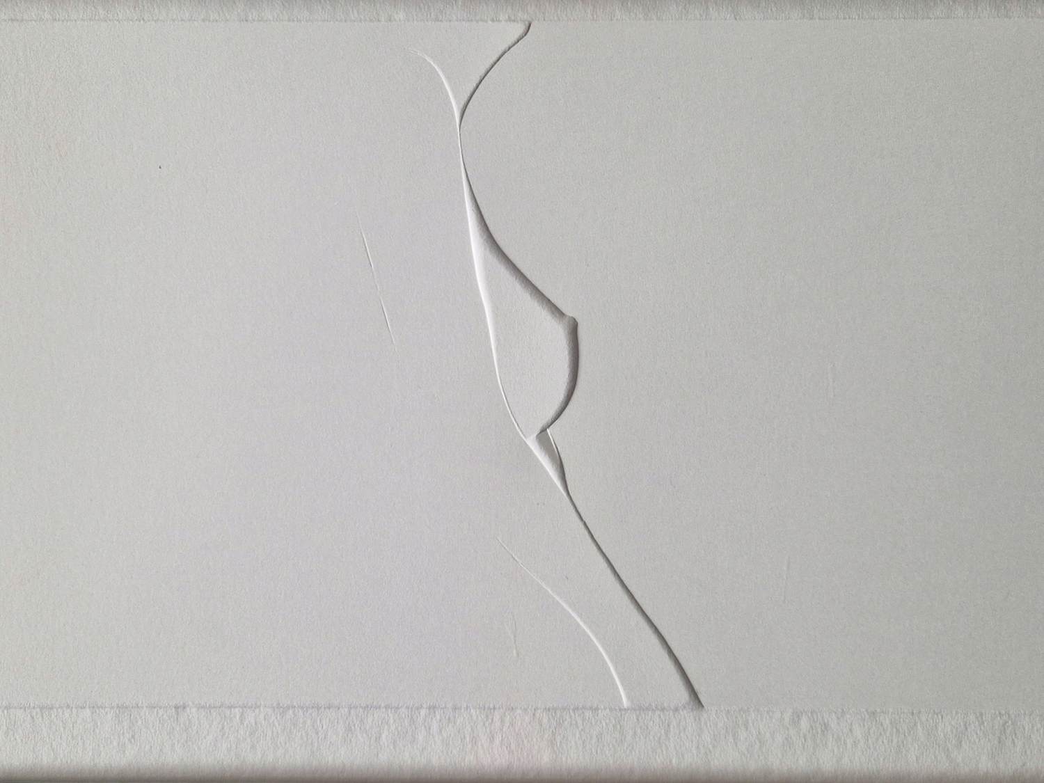 Harry van Kuyk - Unica A/P Reliëfdruk "Female body" 1988 - in mooie lijst - potloodgesigneerd kopen? Bied vanaf 195!