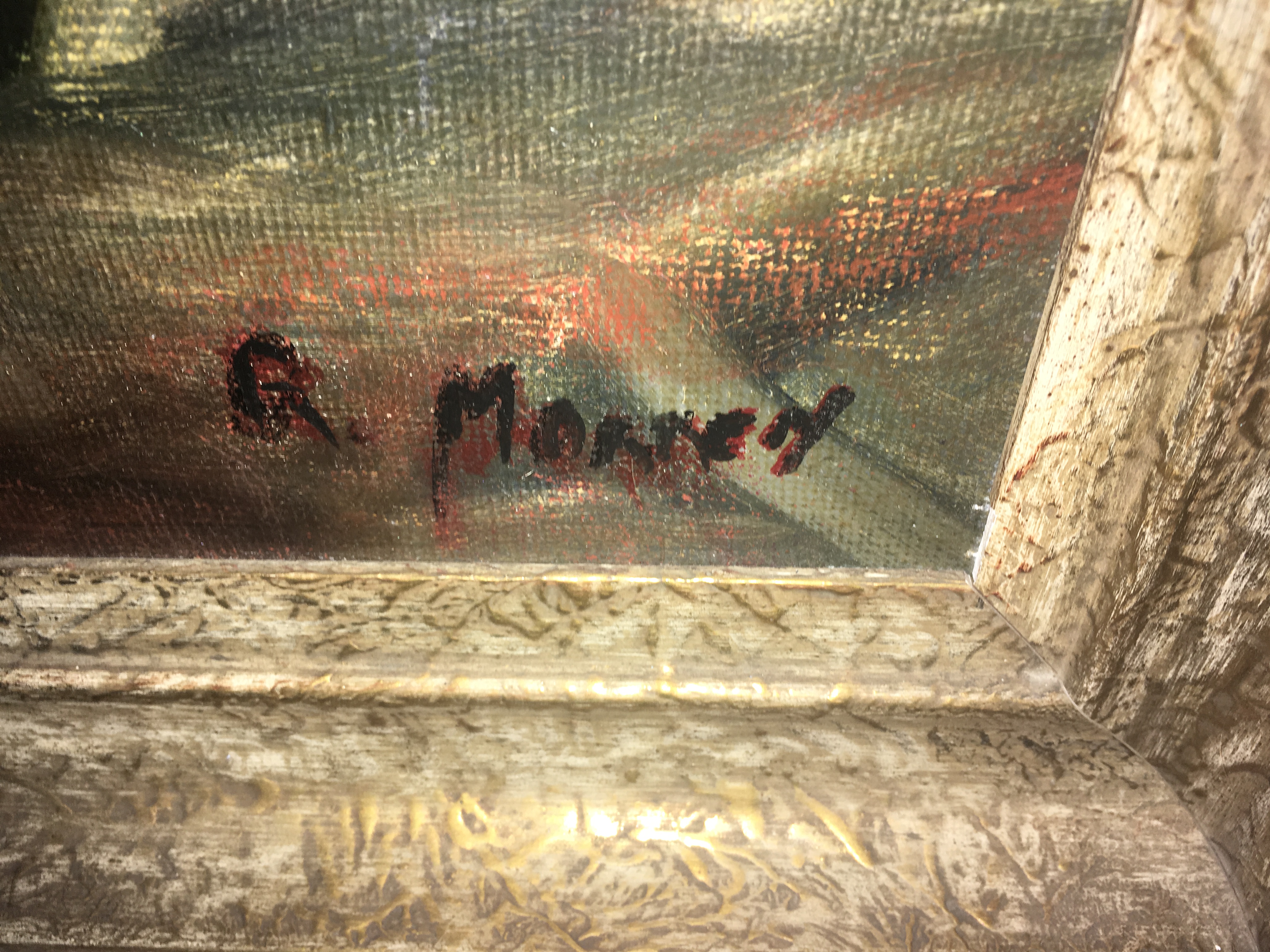 Rene Morren - Paarden op het erf kopen? Bied vanaf 100!