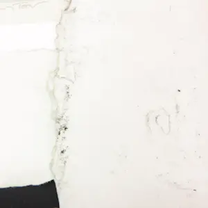 Ellen van Toor - Lot van drie zeefdrukken kopen? Bied vanaf 60!