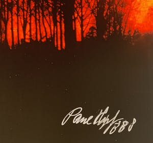 Paul Huf - C-print - 'Van Gogh's footsteps' - 1988 (INGELIJST) kopen? Bied vanaf 1!