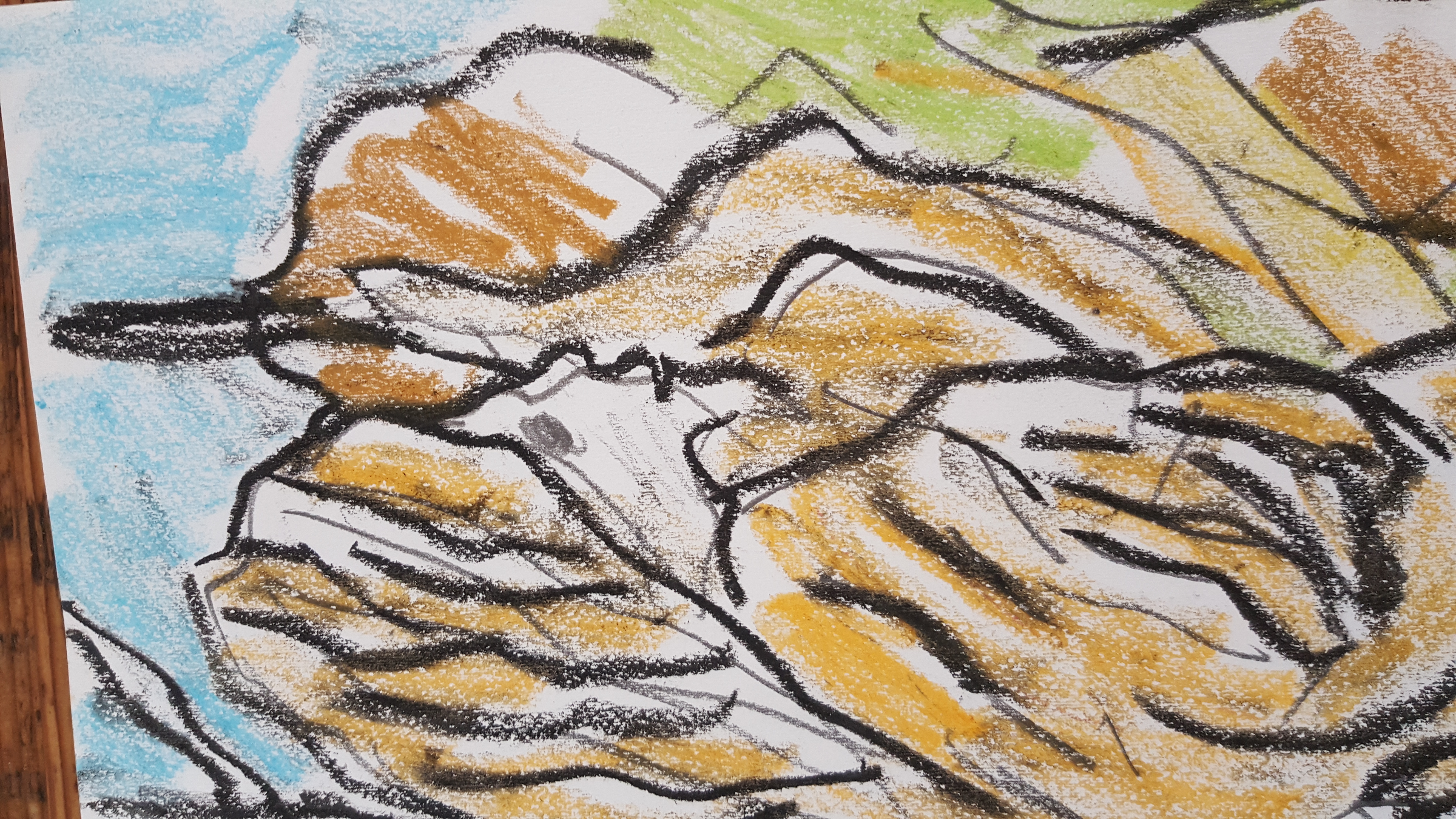 Jan Sierhuis - pastel/krijt op papier kopen? Bied vanaf 120!