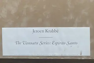 Jeroen Krabbé - Palmboom - Litho - 1990 kopen? Bied vanaf 50!