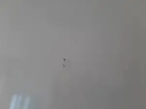 Henk Schiffmacher - zonder titel kopen? Bied vanaf 80!