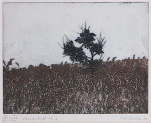 Peter Redeker - Ets, Landschaft - Ingelijst kopen? Bied vanaf 80!