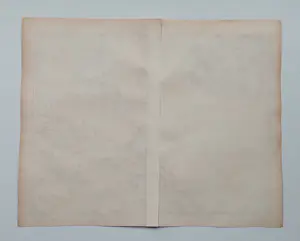 Francois Halma - Holland Zeeland ea Oude Kaart Bataven Friezen 1725 kopen? Bied vanaf 70!