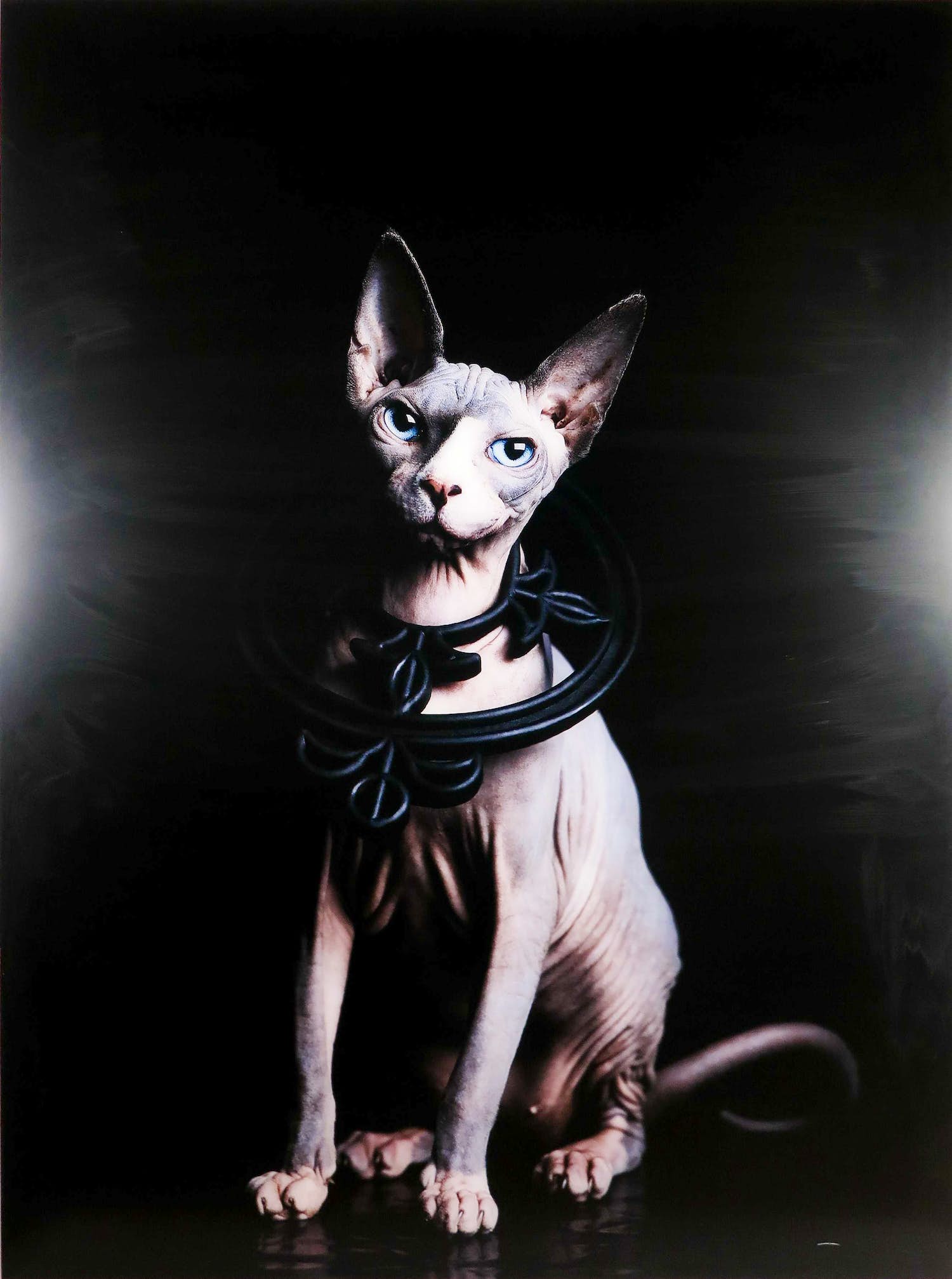 Jenny Boot - C-Print op dibond, Tasja - (Zeer groot) verkocht voor € 350!