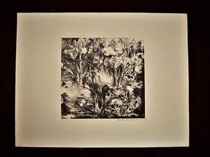 Aart van Dobbenburgh - Meester Graficus - Litho "Voorjaar - bloemenpracht" - potlood gesigneerd kopen? Bied vanaf 10!