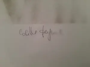 Colette Deyme - Litho, Titel, Deux femmes en rose. (Twee vrouwen in het roze ) kopen? Bied vanaf 40!