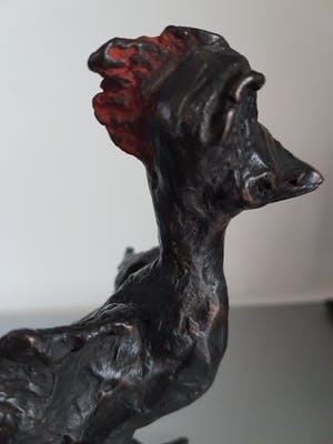 Brons (Onbekend) - Hennie van Leeuwen " Rare vogel " incl certificaat van echtheid kopen? Bied vanaf 150!