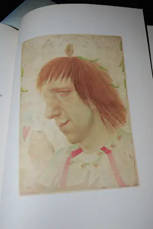 Anneke van Brussel - hardcover, gesigneerd en genummerd & extra kopen? Bied vanaf 50!