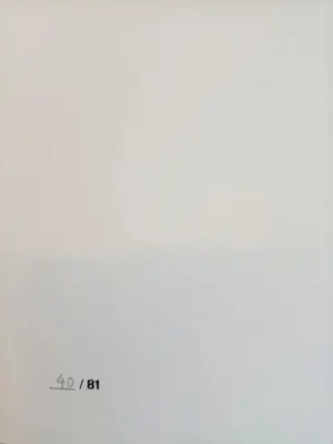 Ai Weiwei - 81 Questions - If an Artist... (incl. CoA) kopen? Bied vanaf 1150!