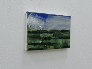 Paul Corvers - Polder kopen? Bied vanaf 75!