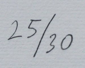 Klaas Gubbels - Hand ingekleurde zeefdruk (aquarel)- 2005 kopen? Bied vanaf 295!