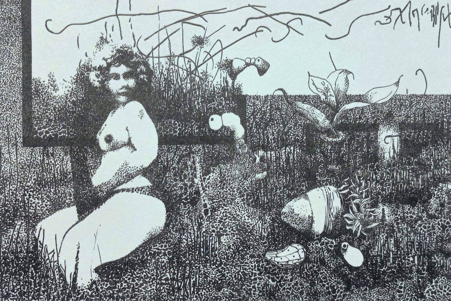 Buy Wout Muller - De eigenaardigheden van tamme rassen II, litho? Bid from 50!