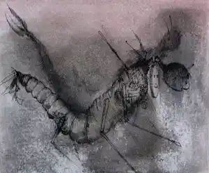 Dirkje Kuik - aquarel/tekening Aram en de bende van de boomstam" + boek waarin tekening staat kopen? Bied vanaf 159!