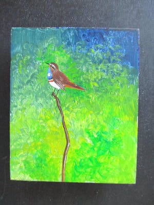 Ari Stolk - Zonder titel (Blauwborst ♂) kopen? Bied vanaf 1!