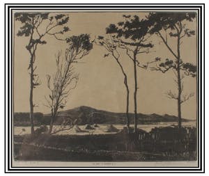 Tjipke visser - " De Nok " te Bergen Noord Holland..... kopen? Bied vanaf 90!