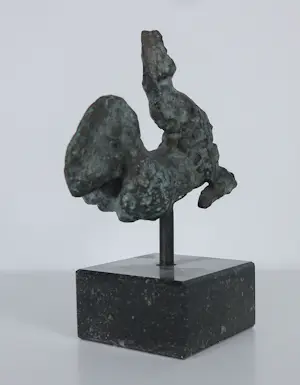 Jan Peter van Opheusden - Brons, Paard kopen? Bied vanaf 300!