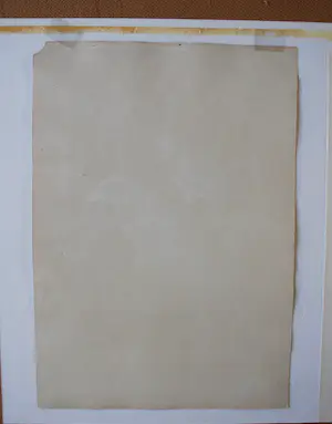 Johannes Gerardus Keulemans - kleurenlitho uit 1870 - Spechtvogels ♀+♂ kopen? Bied vanaf 45!