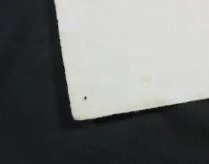 Ping - Ming Hsiung - Vogels kopen? Bied vanaf 50!