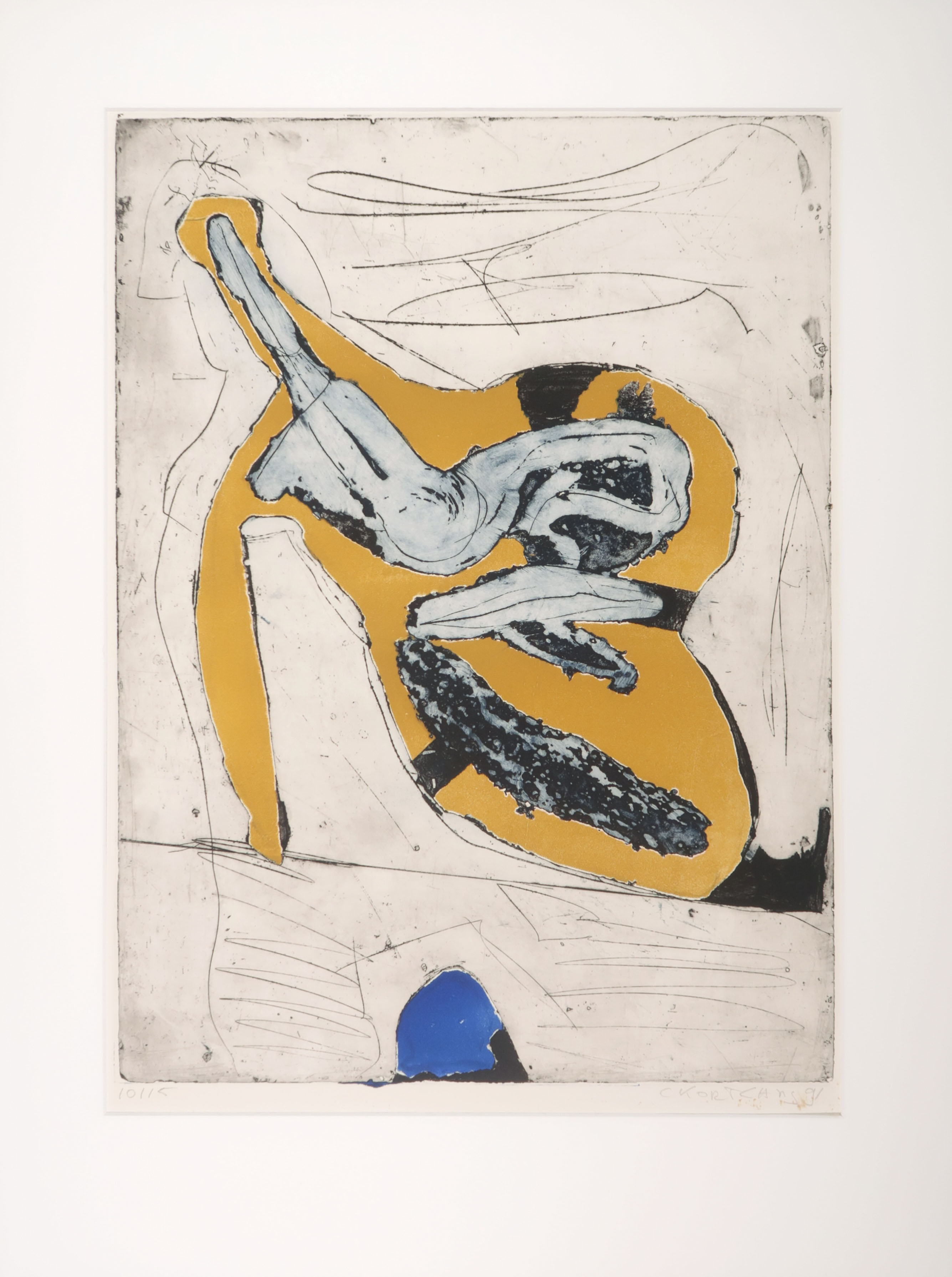 Cees Kortlang - Kleurenets, Spoor van je lichaam kopen? Bied vanaf 35!