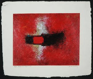 Jos van den Berg - Zeefdruk, Freeport mine Papua kopen? Bied vanaf 40!