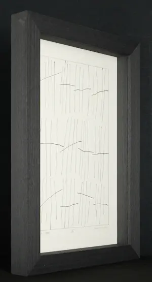 Jan Schoonhoven - Besonderes Werk : Offset Lithografie - épreuve d’artiste - hochwertig gerahmt kopen? Bied vanaf 1190!