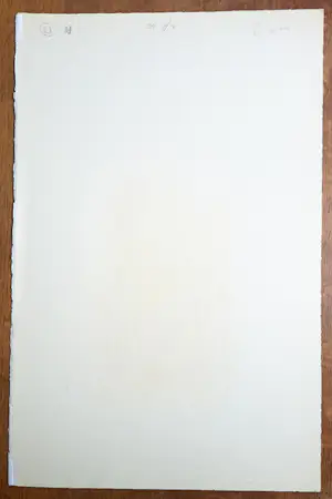 Henri Michaux - Sans titre (14/60) kaufen? Bieten Sie von 560!