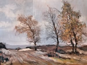 Herman van der Weele - Zandverstuiving op de Veluwe kopen? Bied vanaf 40!