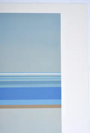 Maurits Van Saene - Zeefdruk - Gesigneerd - 60x80 cm - 1/130 kopen? Bied vanaf 150!