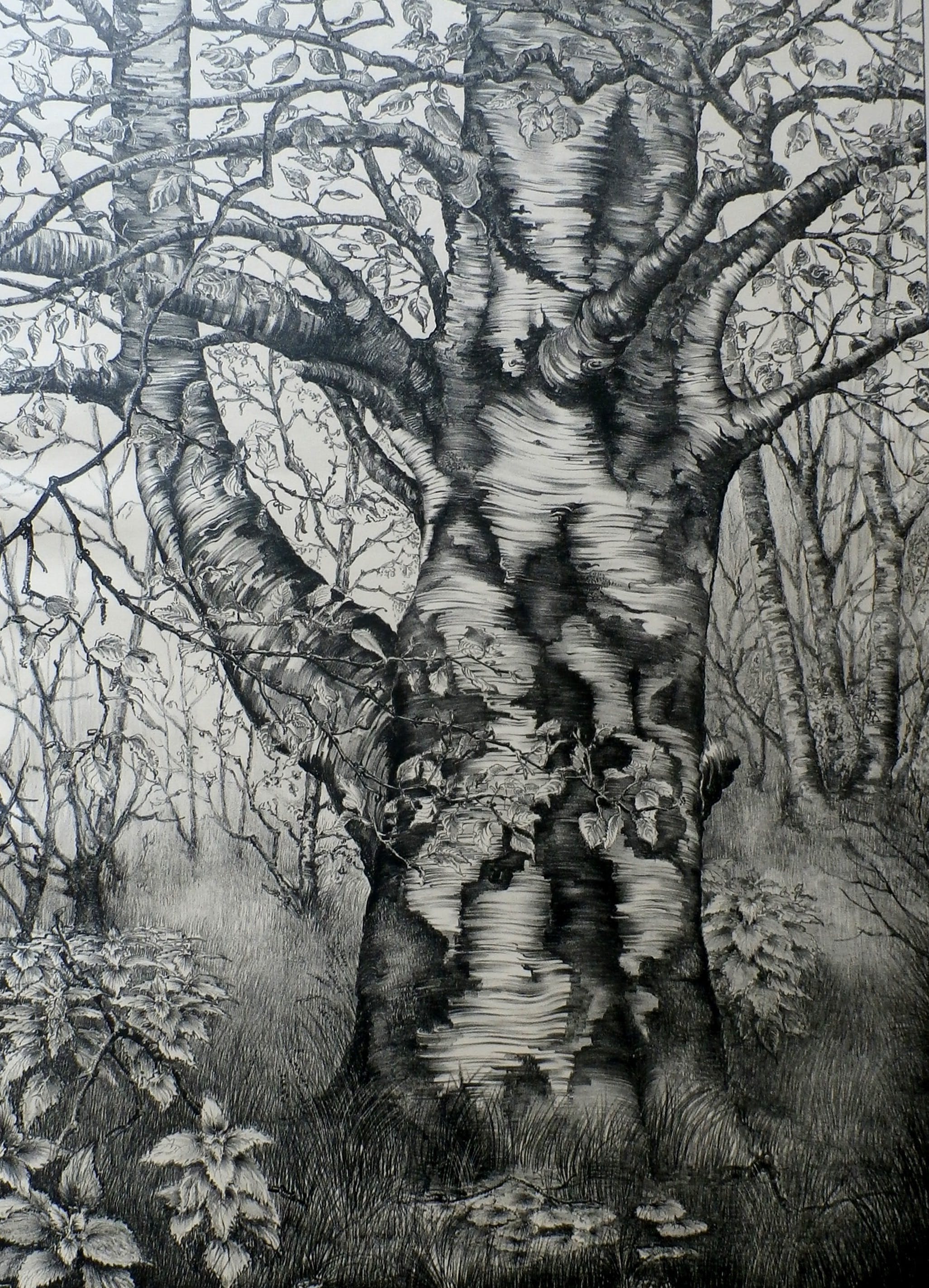 Henk Voskuyl - Litho: Oude Berk kopen? Bied vanaf 20!