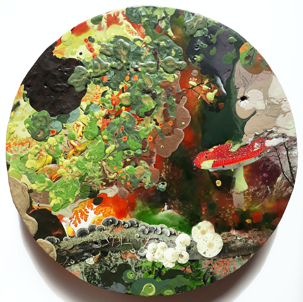 Robert Wevers (1963)