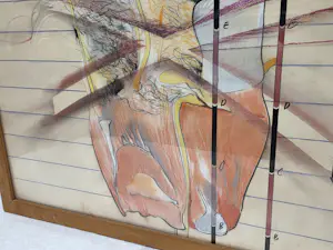 Jan Martens - Ontaarding kopen? Bied vanaf 30!