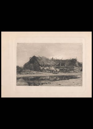 Nicolaas van der Waay - Boederij kopen? Bied vanaf 5!